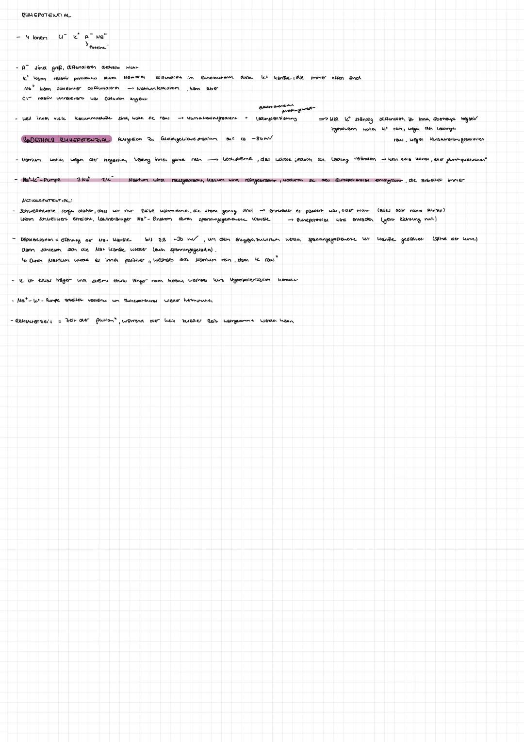 1.
2.
Synapse
Zellkern
Synapsen
Zellkörper Soma
Axonhügel
Bau eines Neurons
Endknöpfchen
400/5
Ginbahnstrassen
Axon
- gehören nicht direkt z