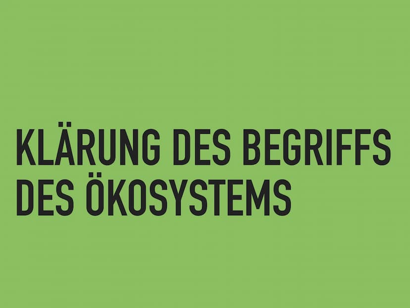ÖKOSYSTEME VERÄNDERN SICH
DIE SUKZESSION DEFINITION SUKZESSION
EINE SUKZESSION IST DIE ZEITLICHE ABFOLGE INEINANDER
ÜBERGEHENDER ZUSTÄNDE VO