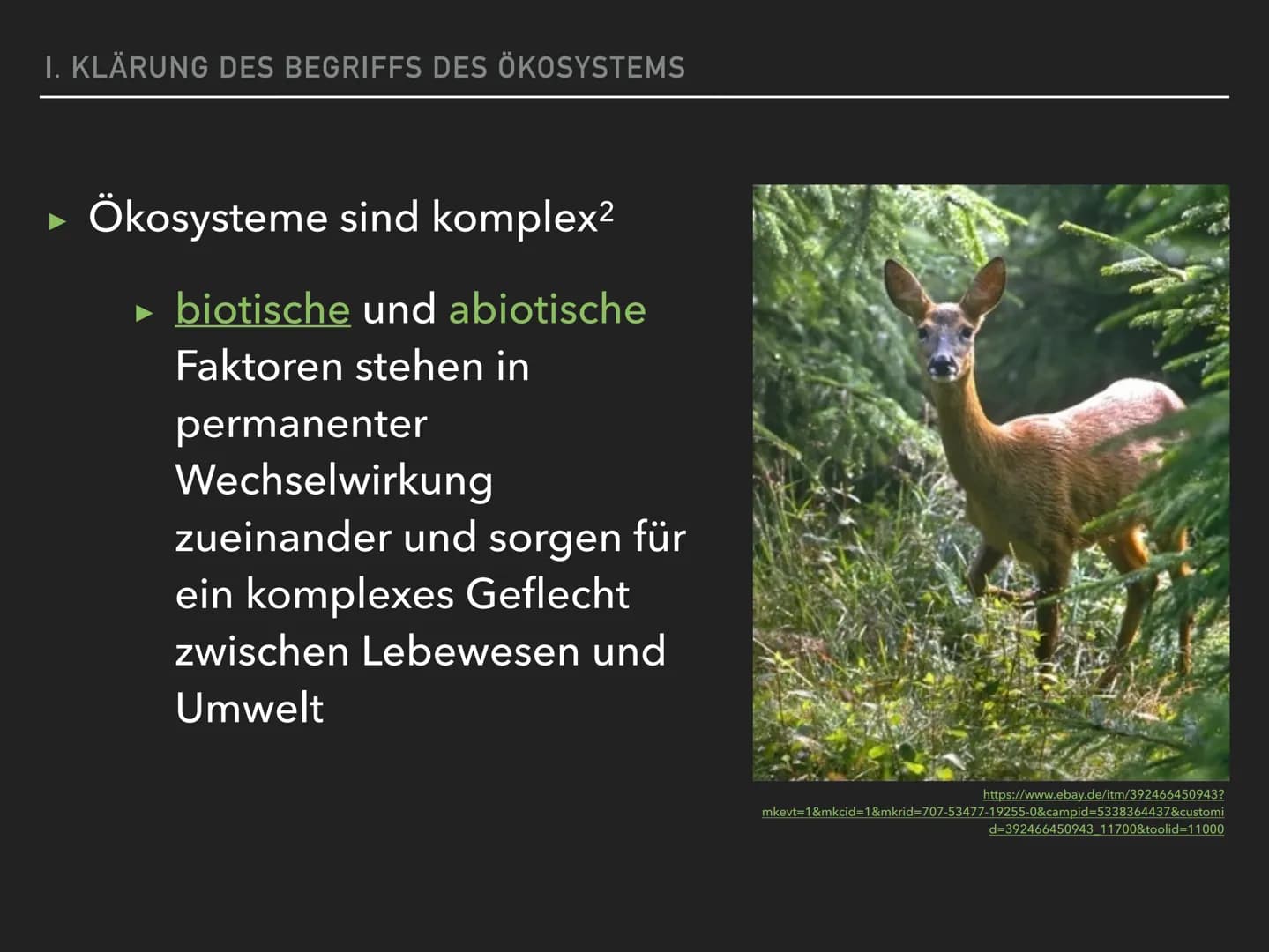 ÖKOSYSTEME VERÄNDERN SICH
DIE SUKZESSION DEFINITION SUKZESSION
EINE SUKZESSION IST DIE ZEITLICHE ABFOLGE INEINANDER
ÜBERGEHENDER ZUSTÄNDE VO