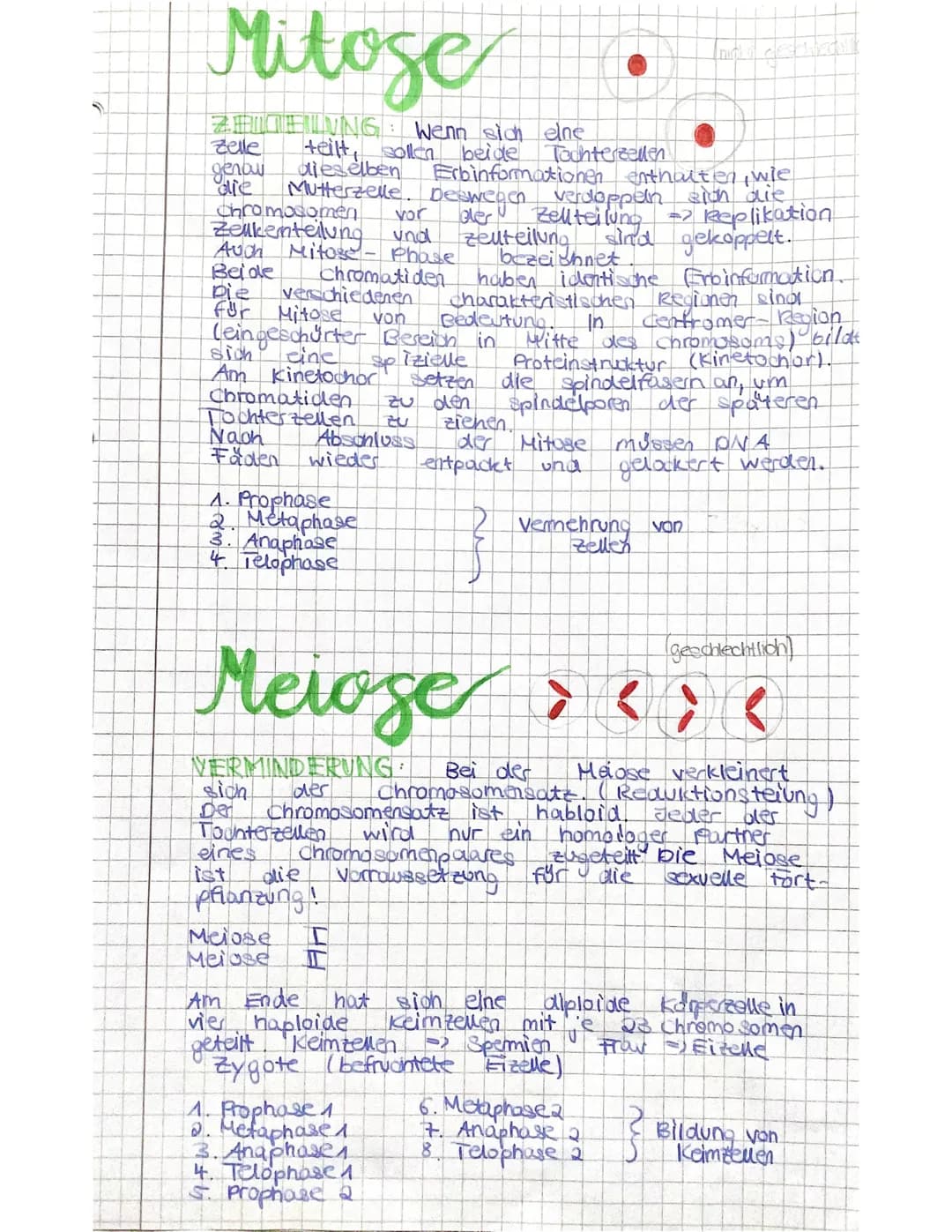 Mitose
ZEITEILING: Wenn sich eine
teilt, sollen
Zelle
beide Tochterzellen
genow dieselben Erbinformationen
die Mutterzelle. Deswegen verdopp