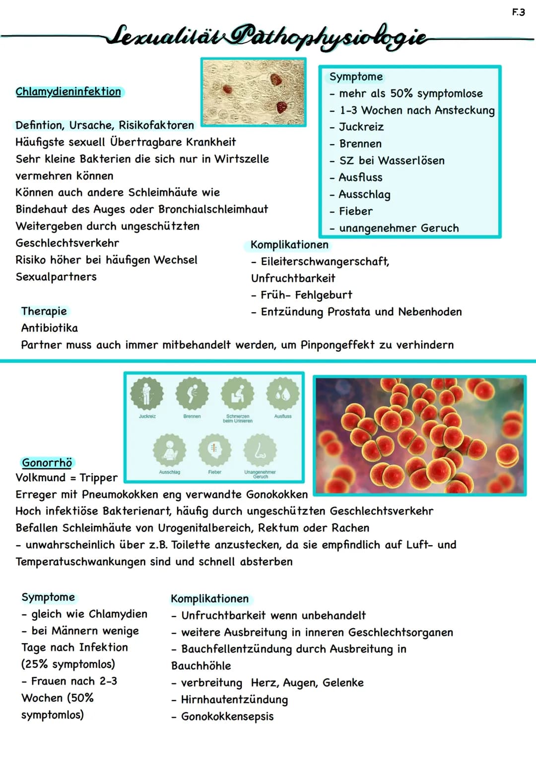 Sexualität Pathophysiologie
Chlamydieninfektion
Defintion, Ursache, Risikofaktoren
Häufigste sexuell Übertragbare Krankheit
Sehr kleine Bakt