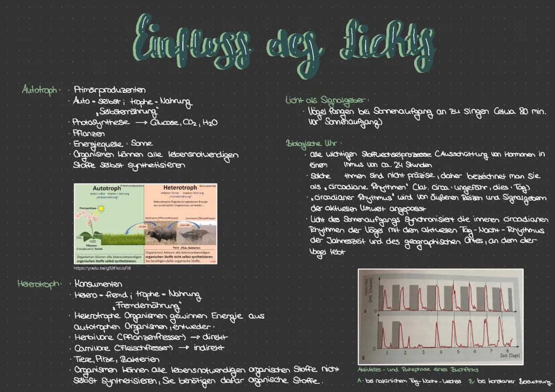 Abiotische Faktoren