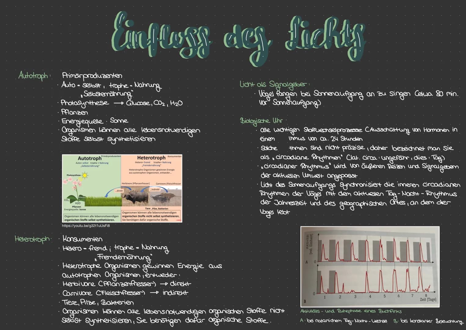 Autotroph Primärproduzenten
Heterotroph:
Auto
Einflogy day, Lichts
Empass
des
= sellast, trophe - Nahrung
"Selbstemährung
·Photosynthese
Pfl