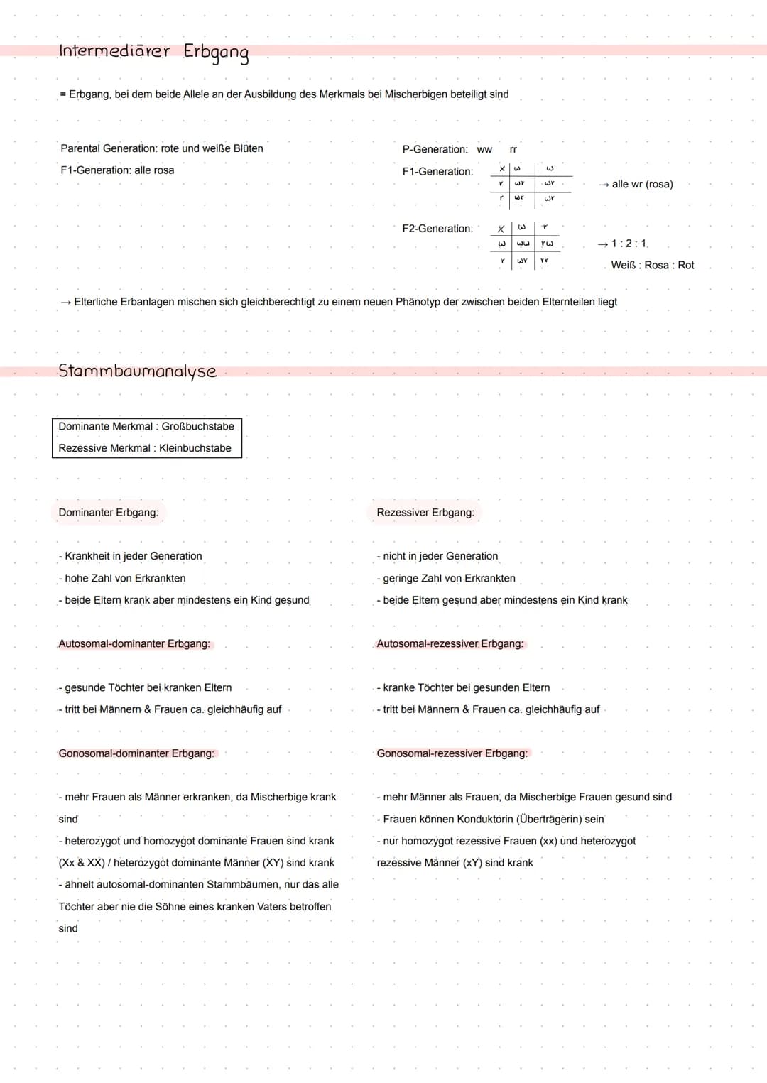 BIO Kursarbeit
GENETIK
Meiose
Zellteilung zur Bildung von Keimzellen
2 homologe Chromosomenpaare - Chromosomenpaarung
Die jeweiligen homolog