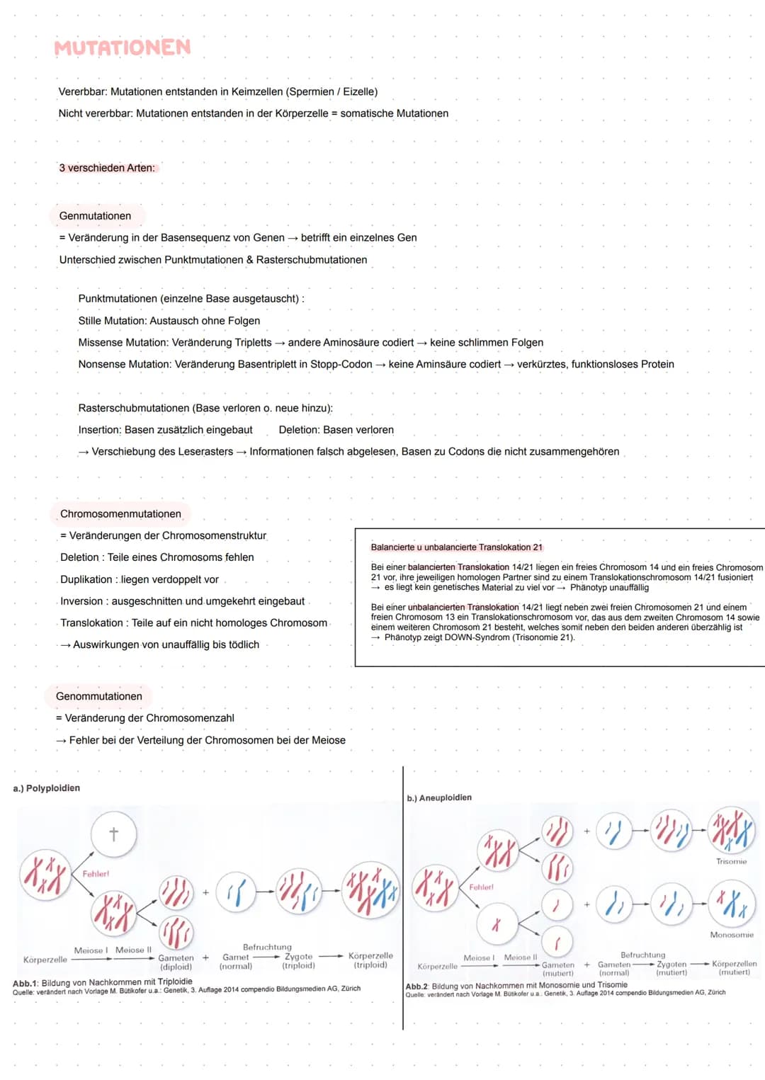 BIO Kursarbeit
GENETIK
Meiose
Zellteilung zur Bildung von Keimzellen
2 homologe Chromosomenpaare - Chromosomenpaarung
Die jeweiligen homolog