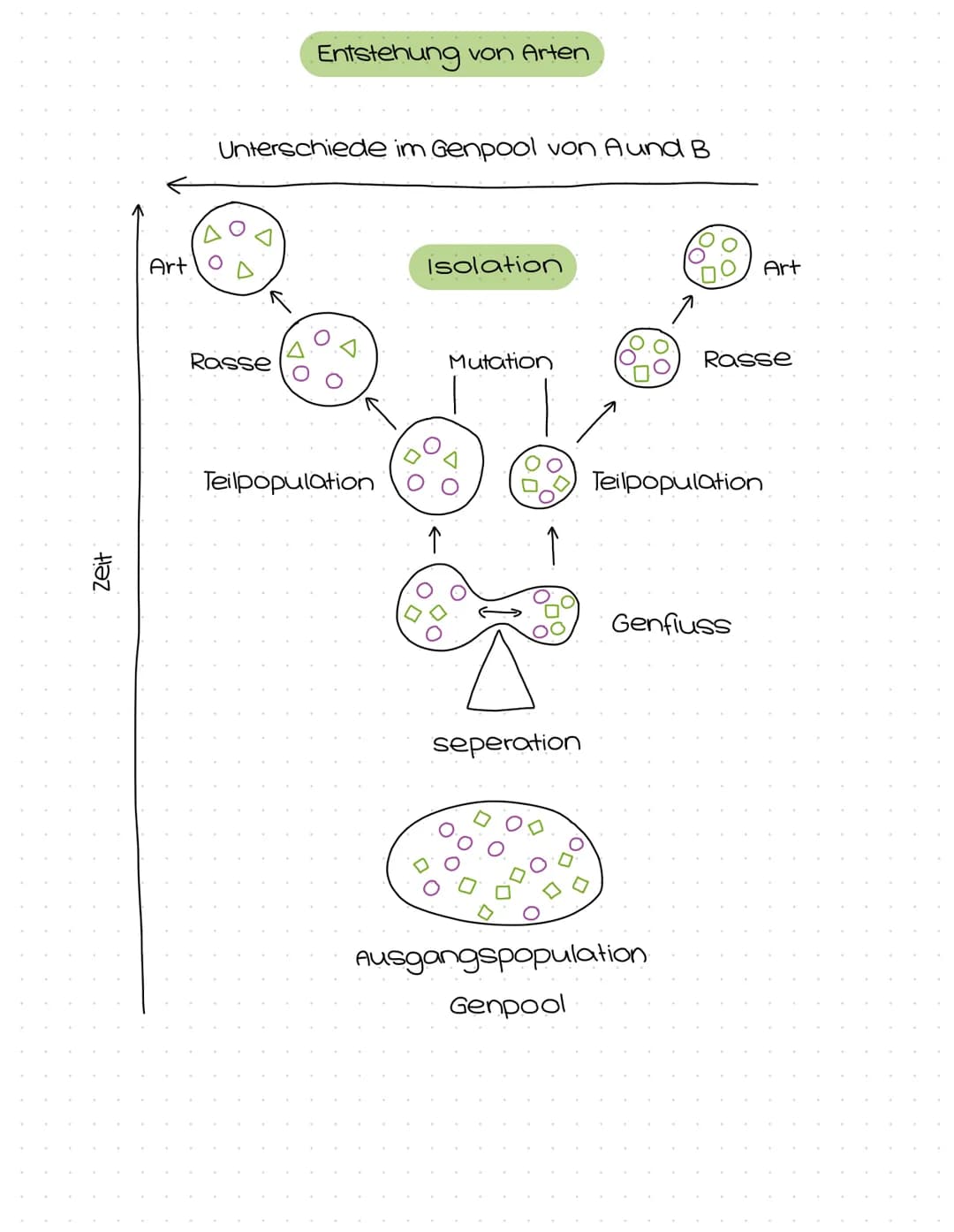 Evolution
Abitur
Zusammenfassung Inhaltsübersicht
Themenfeld Evolution
Der Artbegriff
morphologischer Artbegriff
biologischer Artbegriff
Var