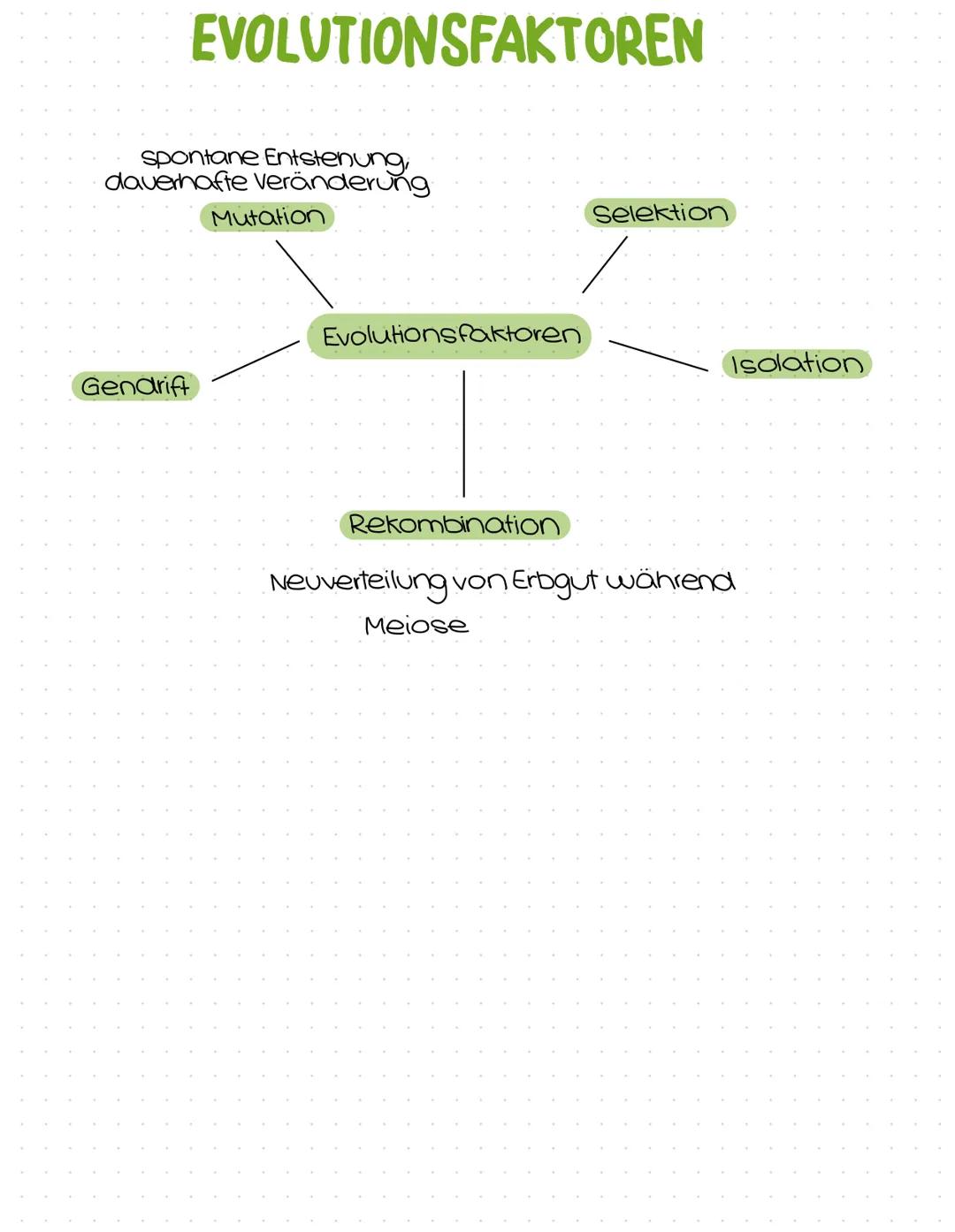 Evolution
Abitur
Zusammenfassung Inhaltsübersicht
Themenfeld Evolution
Der Artbegriff
morphologischer Artbegriff
biologischer Artbegriff
Var