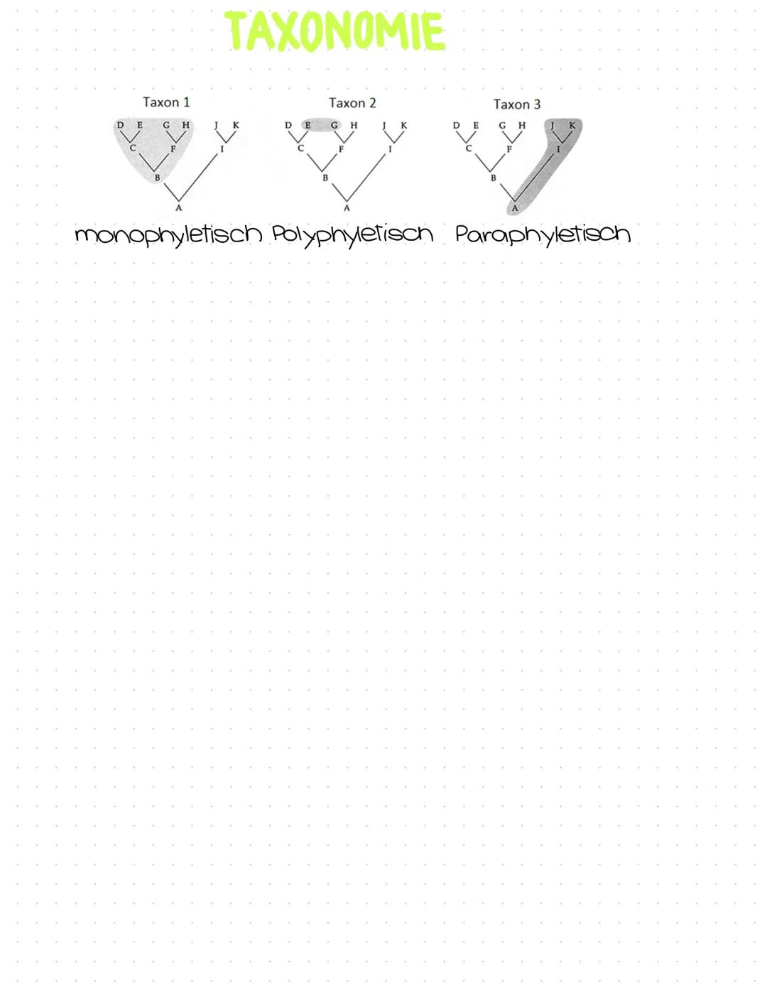 Evolution
Abitur
Zusammenfassung Inhaltsübersicht
Themenfeld Evolution
Der Artbegriff
morphologischer Artbegriff
biologischer Artbegriff
Var