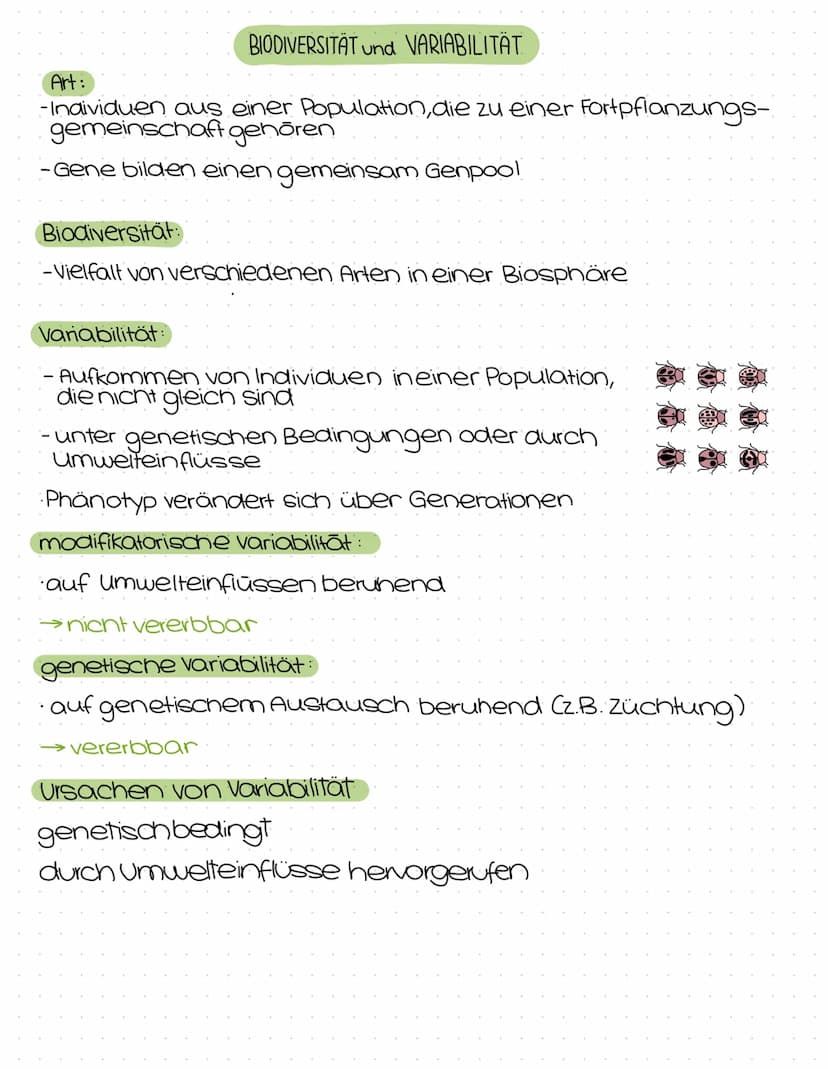 Evolution
Abitur
Zusammenfassung Inhaltsübersicht
Themenfeld Evolution
Der Artbegriff
morphologischer Artbegriff
biologischer Artbegriff
Var