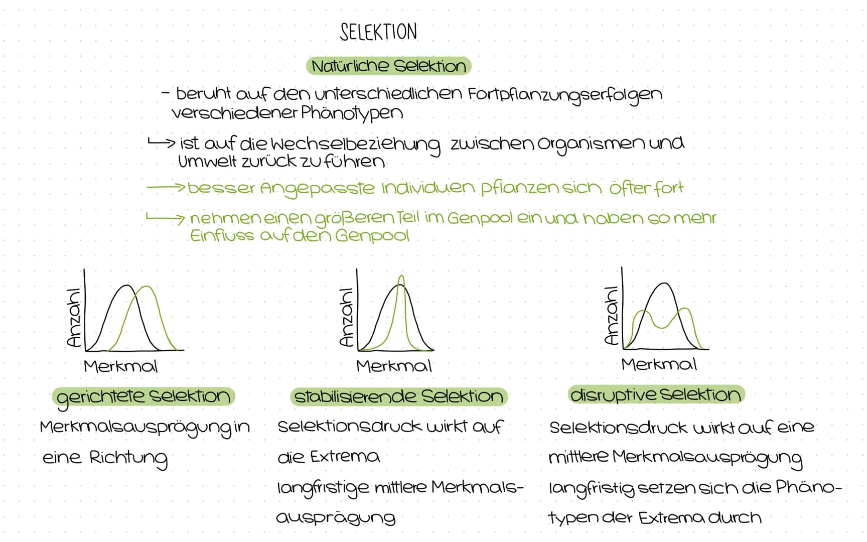 Evolution
Abitur
Zusammenfassung Inhaltsübersicht
Themenfeld Evolution
Der Artbegriff
morphologischer Artbegriff
biologischer Artbegriff
Var