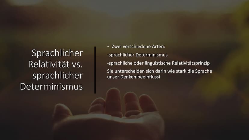 DOC
100
Sapir-Whorf-Hypothese
Tom, Serafin Gliederung
• Sapir-Whorf-Hypothese Definition
• Sapir&Whorf
●
• Linguistisches Relativitätsprinzi