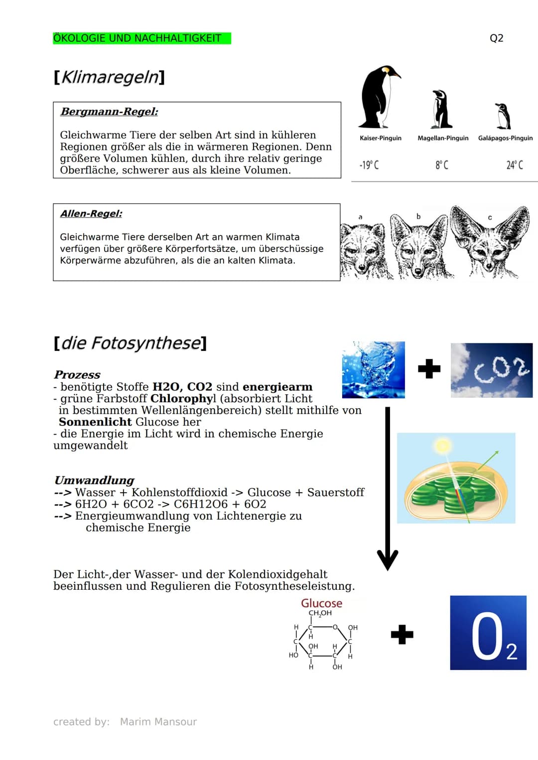 ÖKOLOGIE UND NACHHALTIGKEIT
[Grundbegriffe der Ökologie]
Biosphäre: die Gesamtheit aller
Ökosysteme
Biosphärenforschung: das Forschungsgebie