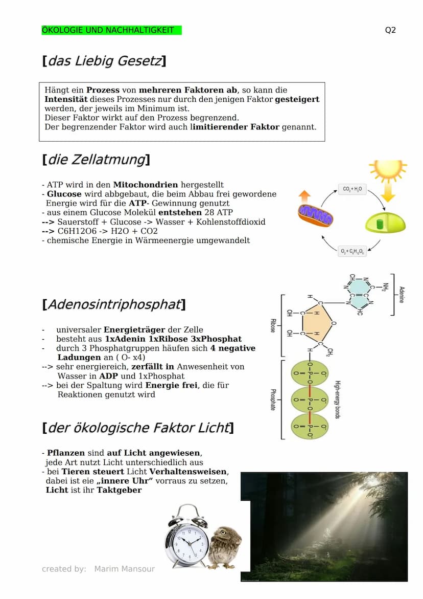 ÖKOLOGIE UND NACHHALTIGKEIT
[Grundbegriffe der Ökologie]
Biosphäre: die Gesamtheit aller
Ökosysteme
Biosphärenforschung: das Forschungsgebie