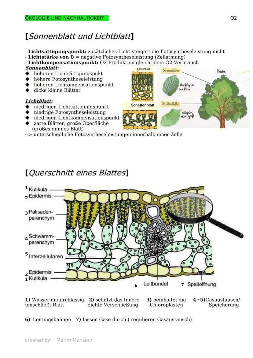 ÖKOLOGIE UND NACHHALTIGKEIT
[Grundbegriffe der Ökologie]
Biosphäre: die Gesamtheit aller
Ökosysteme
Biosphärenforschung: das Forschungsgebie
