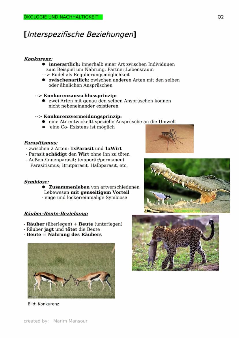 ÖKOLOGIE UND NACHHALTIGKEIT
[Grundbegriffe der Ökologie]
Biosphäre: die Gesamtheit aller
Ökosysteme
Biosphärenforschung: das Forschungsgebie