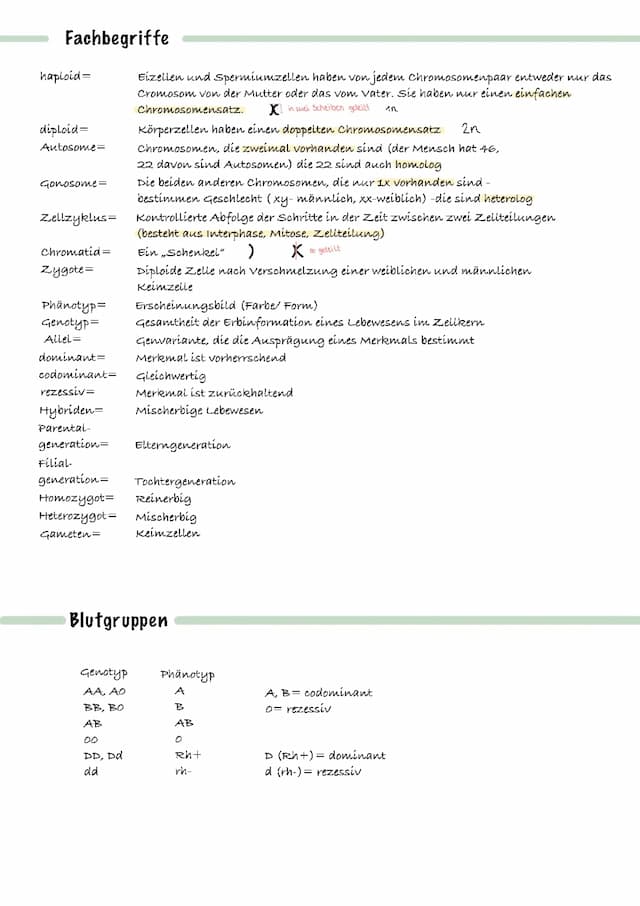 Know Genetik (Mitose, Meiose) thumbnail