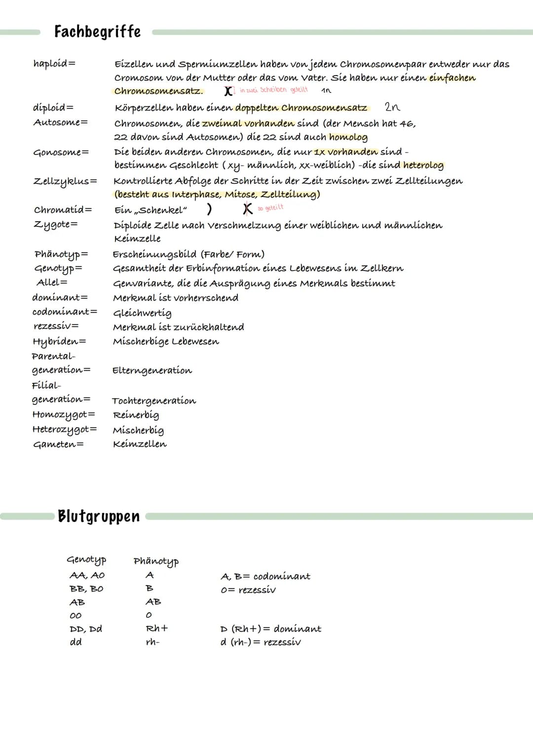 Fachbegriffe
haploid=
diploid=
Autosome=
Gonosome=
Zellzyklus=
Chromatid=
Zygote=
Phänotyp=
Genotyp=
Allel=
dominant=
codominant=
Eizellen u