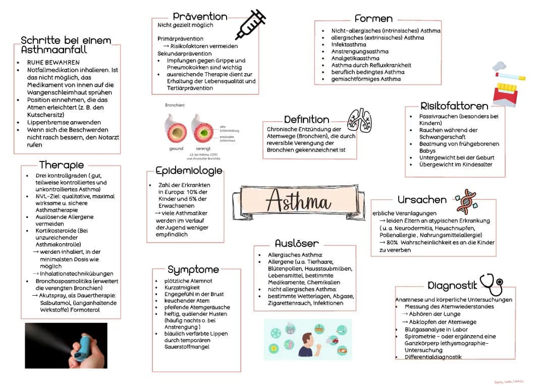 Kurzpresentation zu Asthma bronchiale 