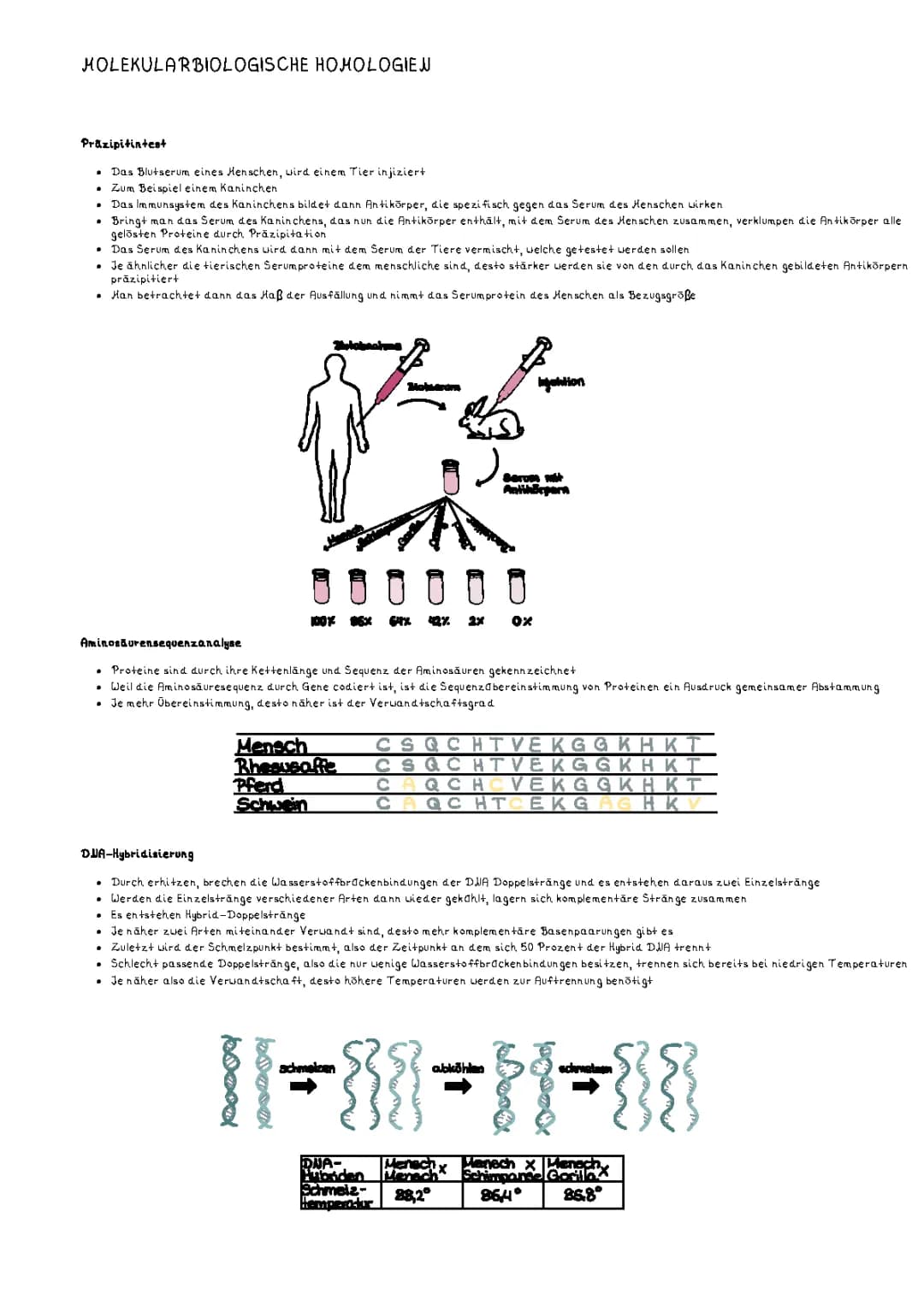 Molekularbiologische Homologien