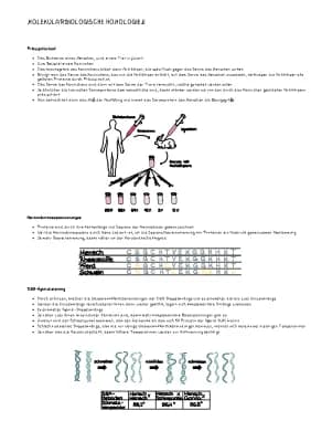 Know Molekularbiologische Homologien thumbnail