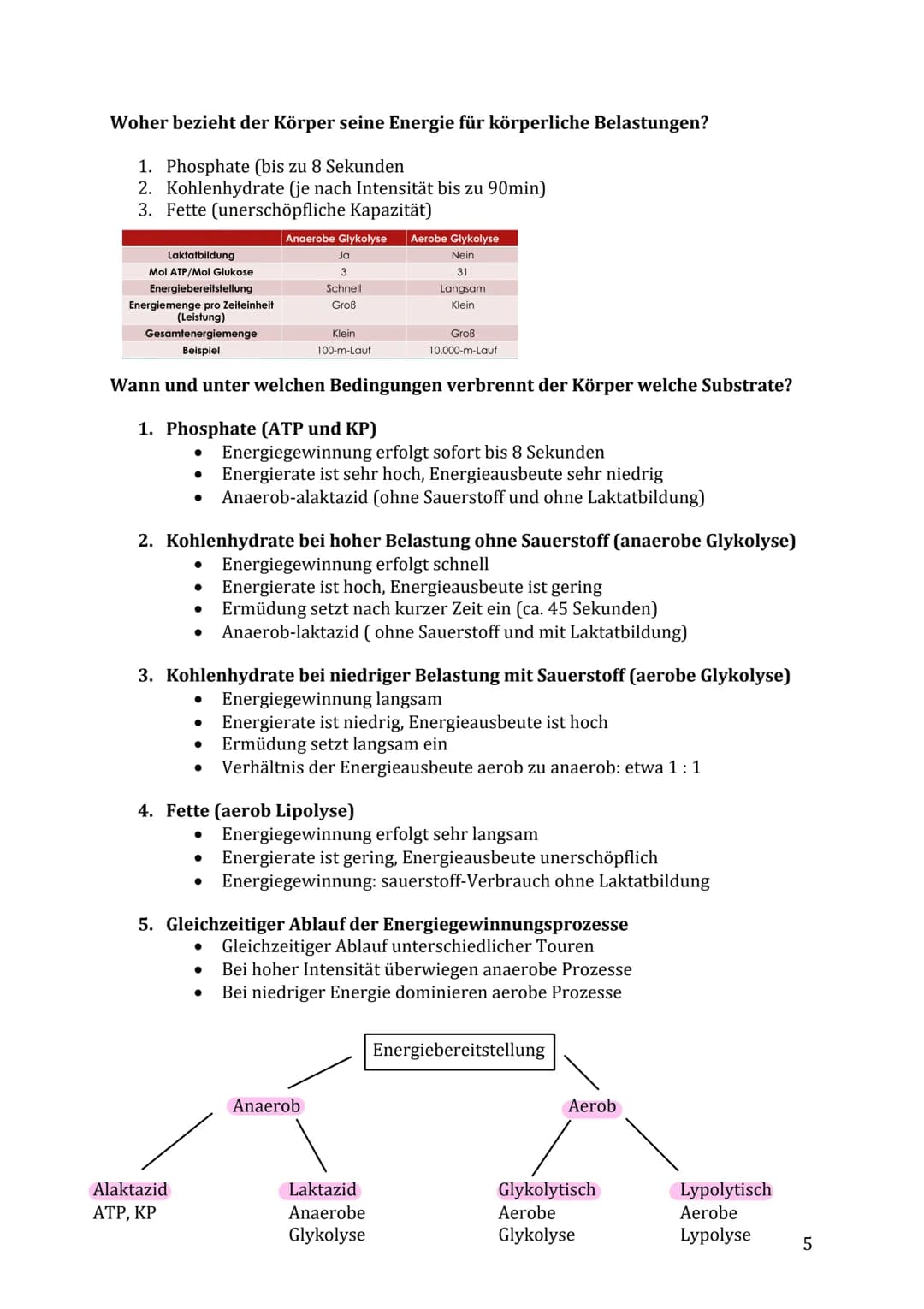 Lernzettel Sport Klausur
Themen:
Muskelaufbau/-kontraktion & Energiebereitstellung
Muskelfaserarten (ST- & FT-Fasern)
● Anpassung des Herz-K