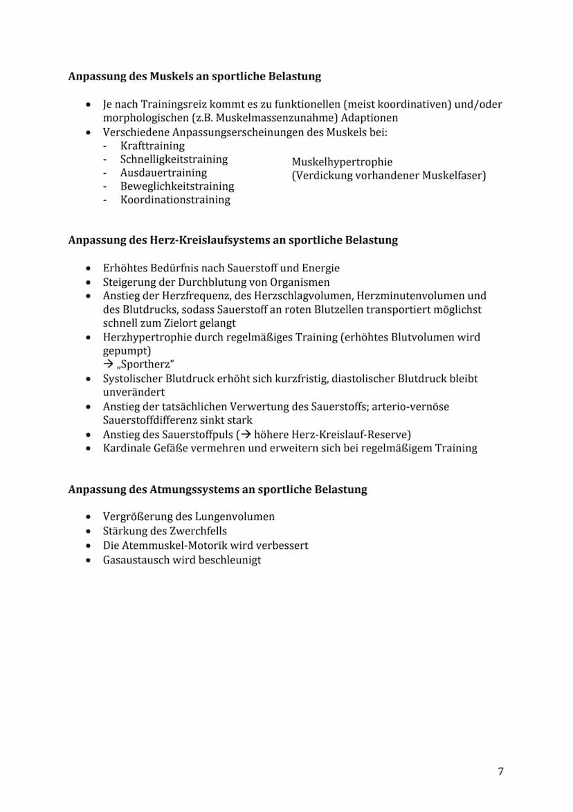 Lernzettel Sport Klausur
Themen:
Muskelaufbau/-kontraktion & Energiebereitstellung
Muskelfaserarten (ST- & FT-Fasern)
● Anpassung des Herz-K