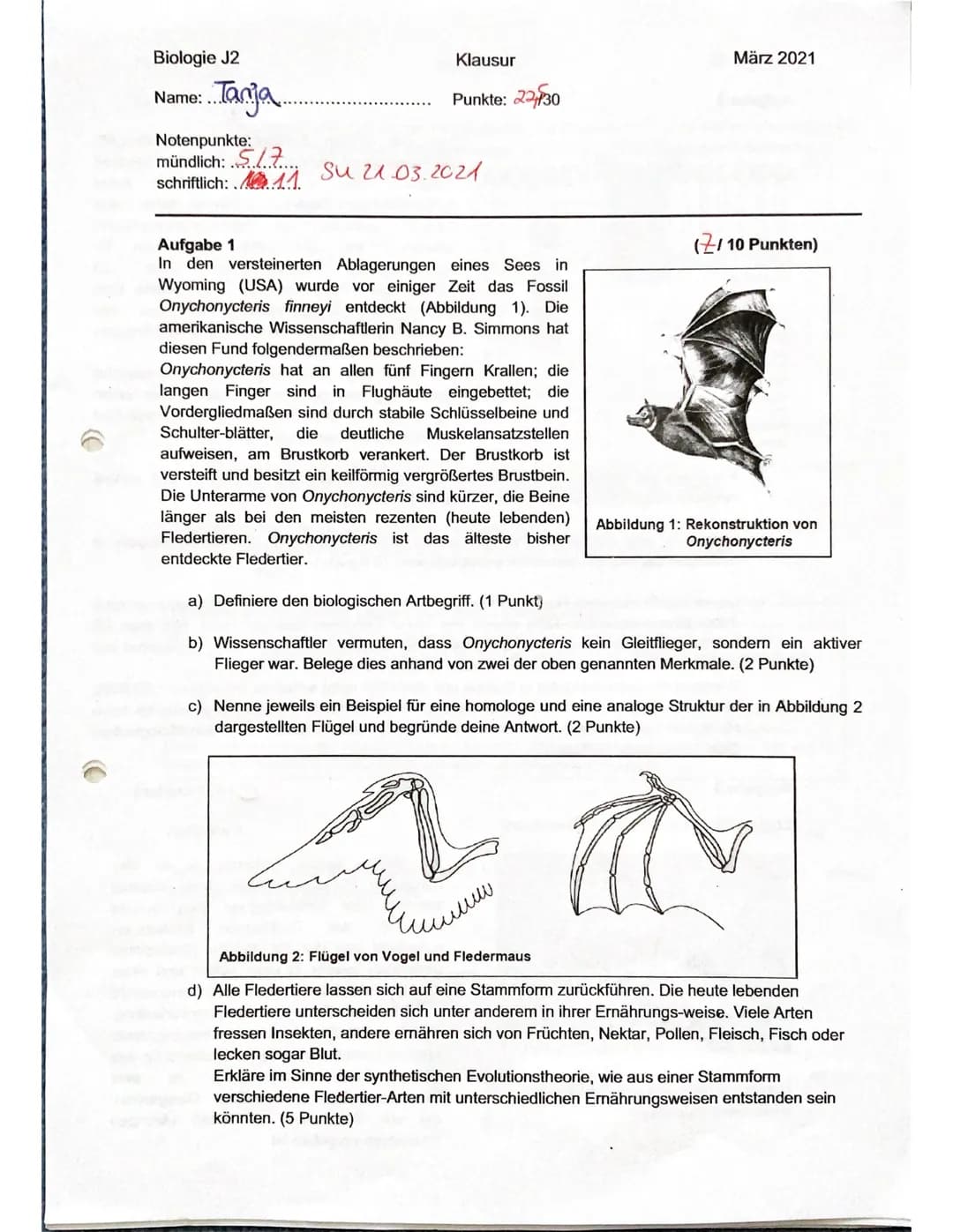 Biologie J2
Name:.
Tanja.
Notenpunkte:
mündlich: .........
schriftlich:11.
Klausur
Punkte: 22/30
Su 21.03.2021
Aufgabe 1
In den versteinerte