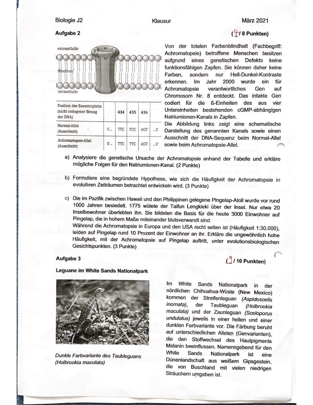 Biologie J2
Name:.
Tanja.
Notenpunkte:
mündlich: .........
schriftlich:11.
Klausur
Punkte: 22/30
Su 21.03.2021
Aufgabe 1
In den versteinerte