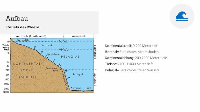 Ökosystem Meer
Von Indira, Marika, Maria NAHRUNGSKETTE
NAHRUNGSNETZ
Im Meer
Maria Wiese NAHRUNGSNETZ
&NAHRUNGSKETTE
Im Meer
Nahrungskette is