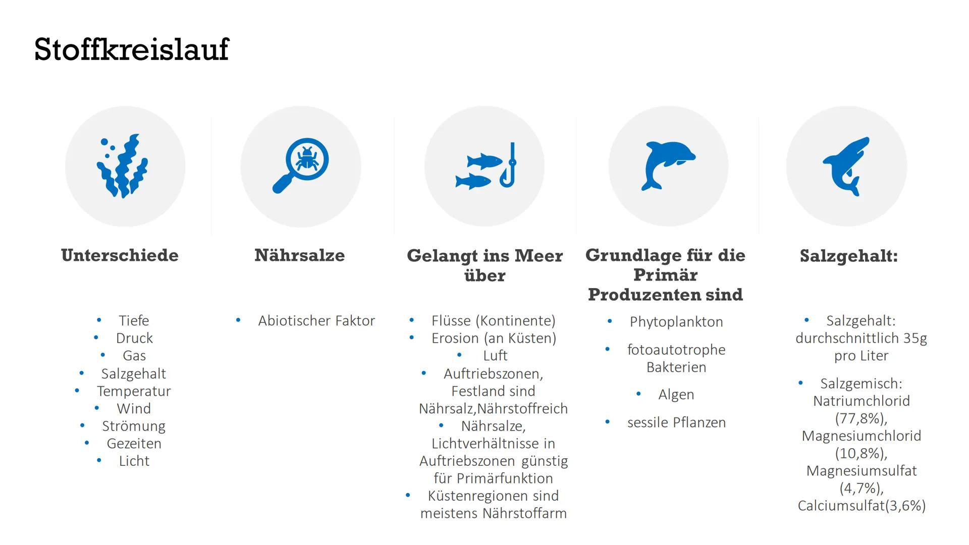 Ökosystem Meer
Von Indira, Marika, Maria NAHRUNGSKETTE
NAHRUNGSNETZ
Im Meer
Maria Wiese NAHRUNGSNETZ
&NAHRUNGSKETTE
Im Meer
Nahrungskette is