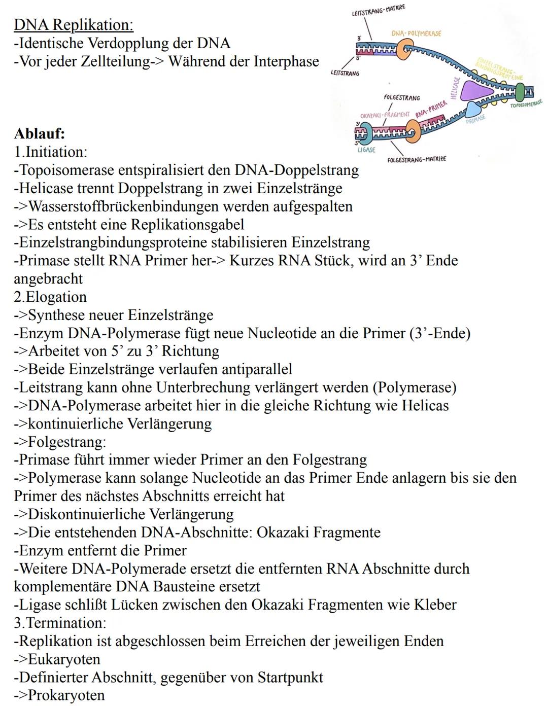 Unterthemen:
-Die Zelle
->Eukaryoten
->Prokaryoten
-Mitose
-Meiose
-Aufbau der DNA
-Replikation
-RNA
-Gene
-Proteinbiosynthese
-Genetischer 