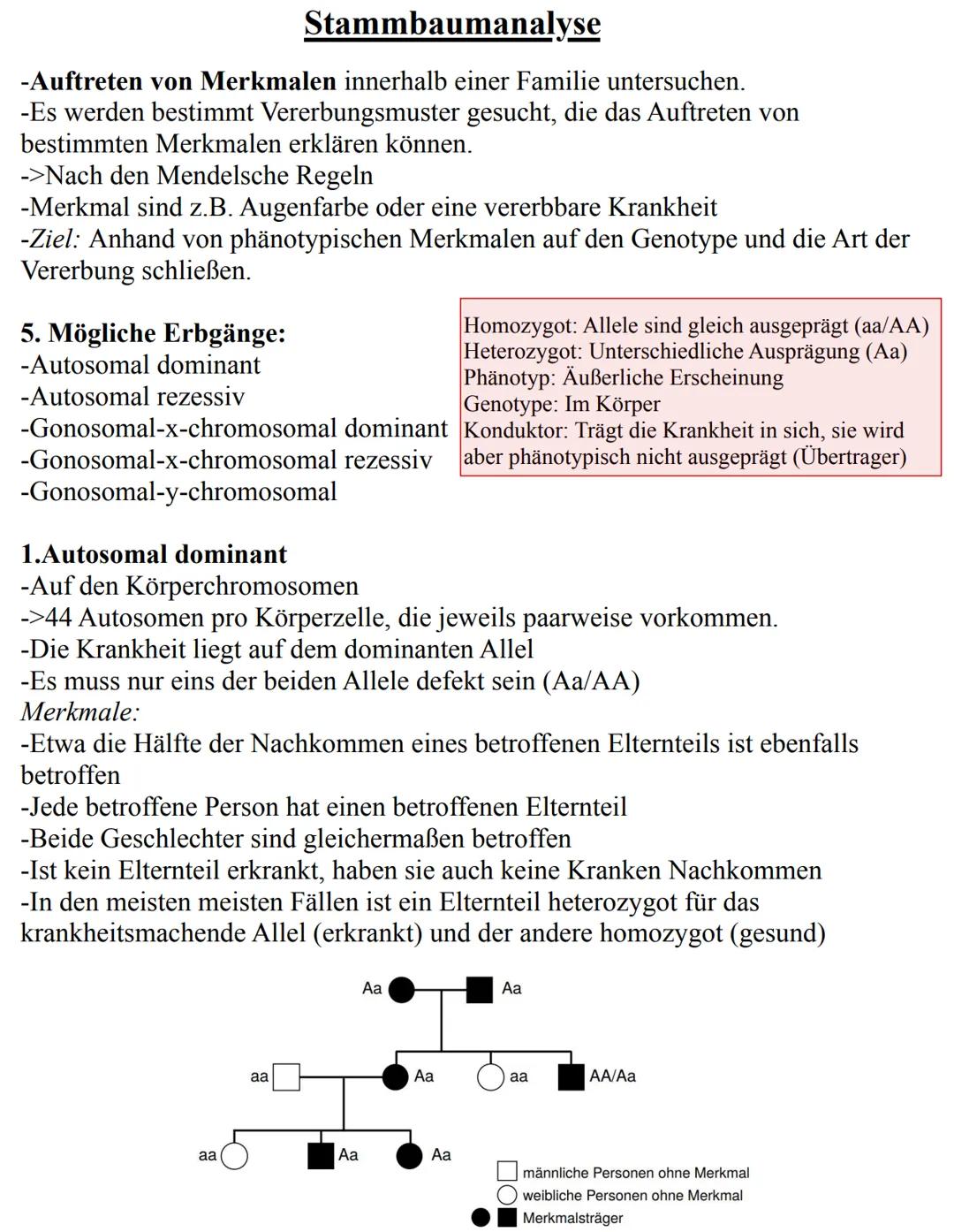 Unterthemen:
-Die Zelle
->Eukaryoten
->Prokaryoten
-Mitose
-Meiose
-Aufbau der DNA
-Replikation
-RNA
-Gene
-Proteinbiosynthese
-Genetischer 