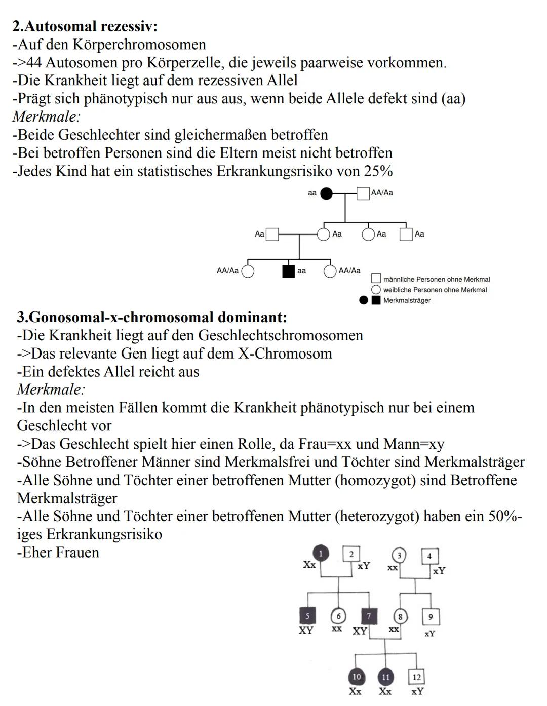 Unterthemen:
-Die Zelle
->Eukaryoten
->Prokaryoten
-Mitose
-Meiose
-Aufbau der DNA
-Replikation
-RNA
-Gene
-Proteinbiosynthese
-Genetischer 