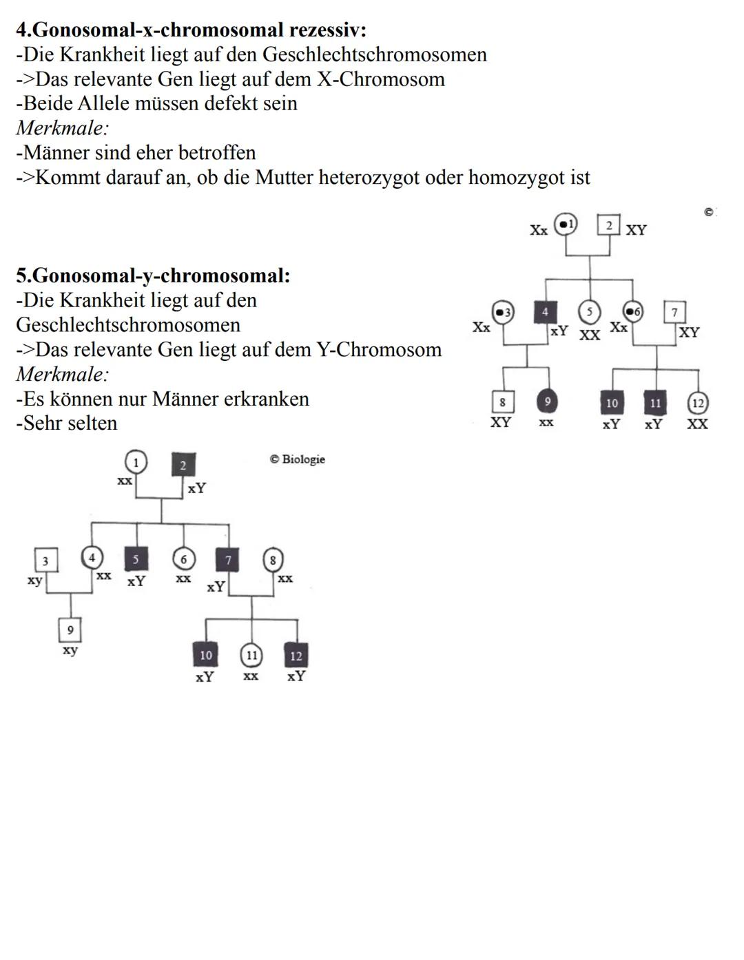 Unterthemen:
-Die Zelle
->Eukaryoten
->Prokaryoten
-Mitose
-Meiose
-Aufbau der DNA
-Replikation
-RNA
-Gene
-Proteinbiosynthese
-Genetischer 