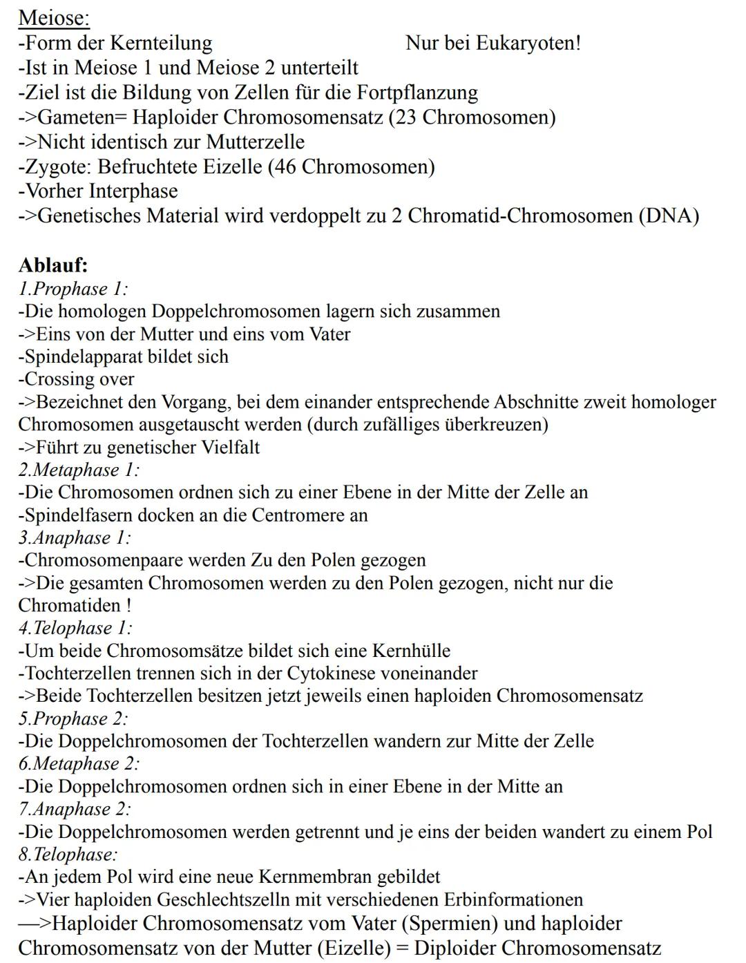 Unterthemen:
-Die Zelle
->Eukaryoten
->Prokaryoten
-Mitose
-Meiose
-Aufbau der DNA
-Replikation
-RNA
-Gene
-Proteinbiosynthese
-Genetischer 