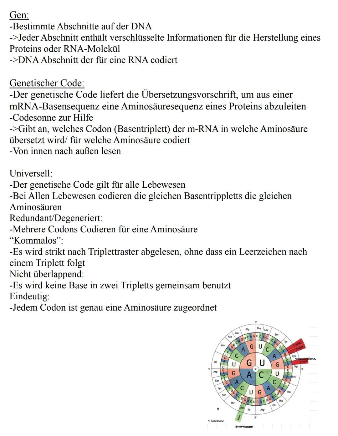 Unterthemen:
-Die Zelle
->Eukaryoten
->Prokaryoten
-Mitose
-Meiose
-Aufbau der DNA
-Replikation
-RNA
-Gene
-Proteinbiosynthese
-Genetischer 