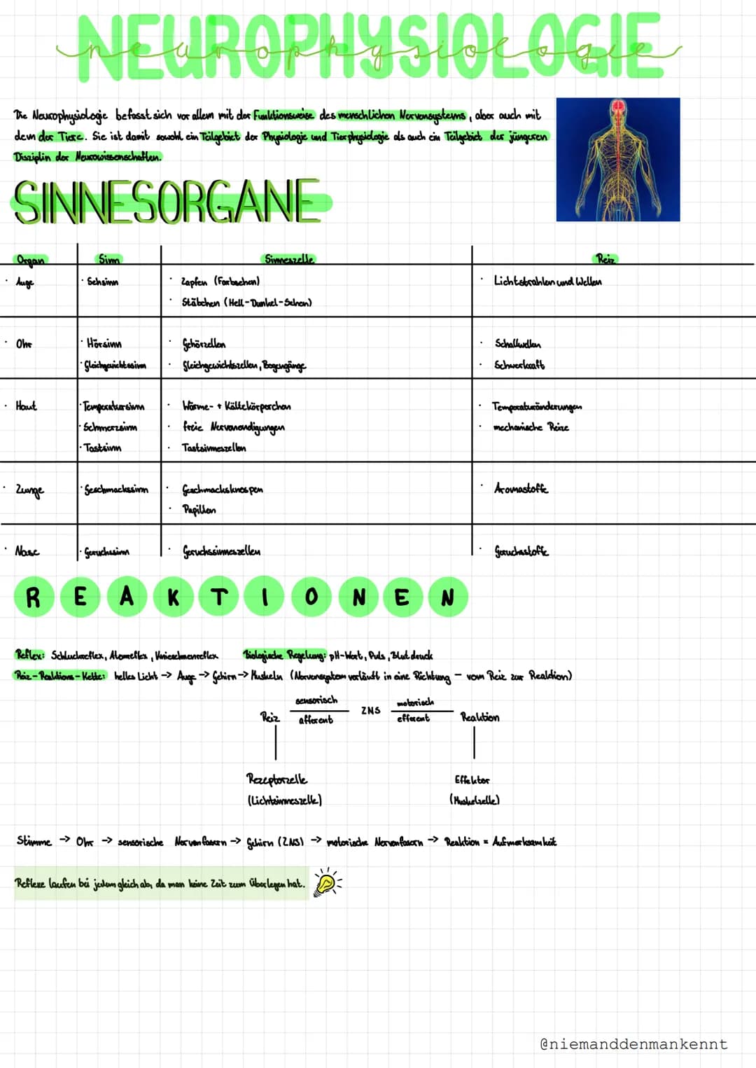 .
The Neurophysiologie befasst sich vor allem mit der Funktionsweise des menschlichen Nervensystems, aber auch mit
dem der Tiere. Sie ist da