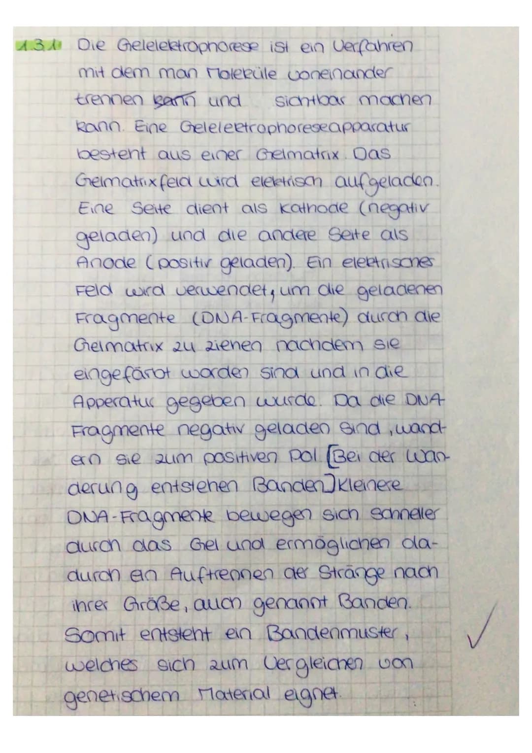 13 Die Gelelektrophorese ist ein Verfahren
mit dem man Moleküle voneinander
trennen kann und sichtbar machen
kann. Eine Gelelectrophoreseapp