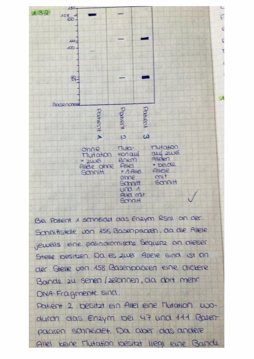 13 Die Gelelektrophorese ist ein Verfahren
mit dem man Moleküle voneinander
trennen kann und sichtbar machen
kann. Eine Gelelectrophoreseapp