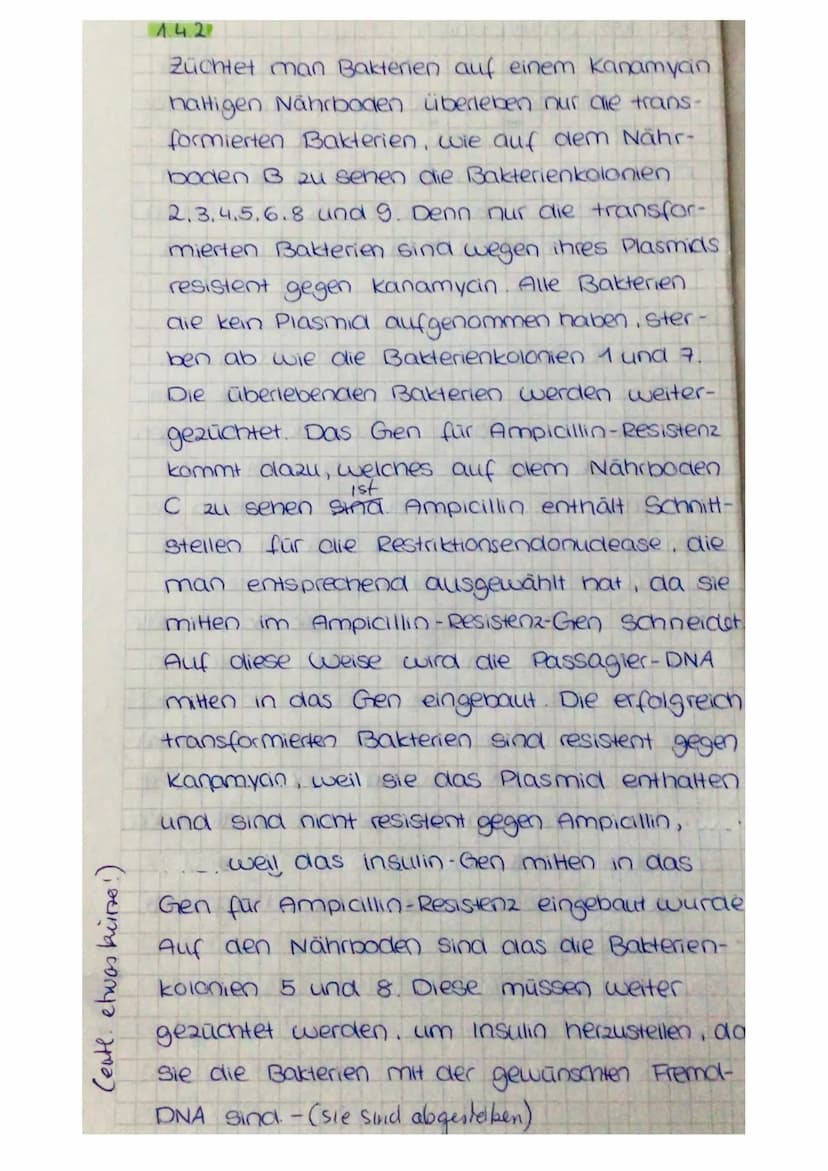 13 Die Gelelektrophorese ist ein Verfahren
mit dem man Moleküle voneinander
trennen kann und sichtbar machen
kann. Eine Gelelectrophoreseapp