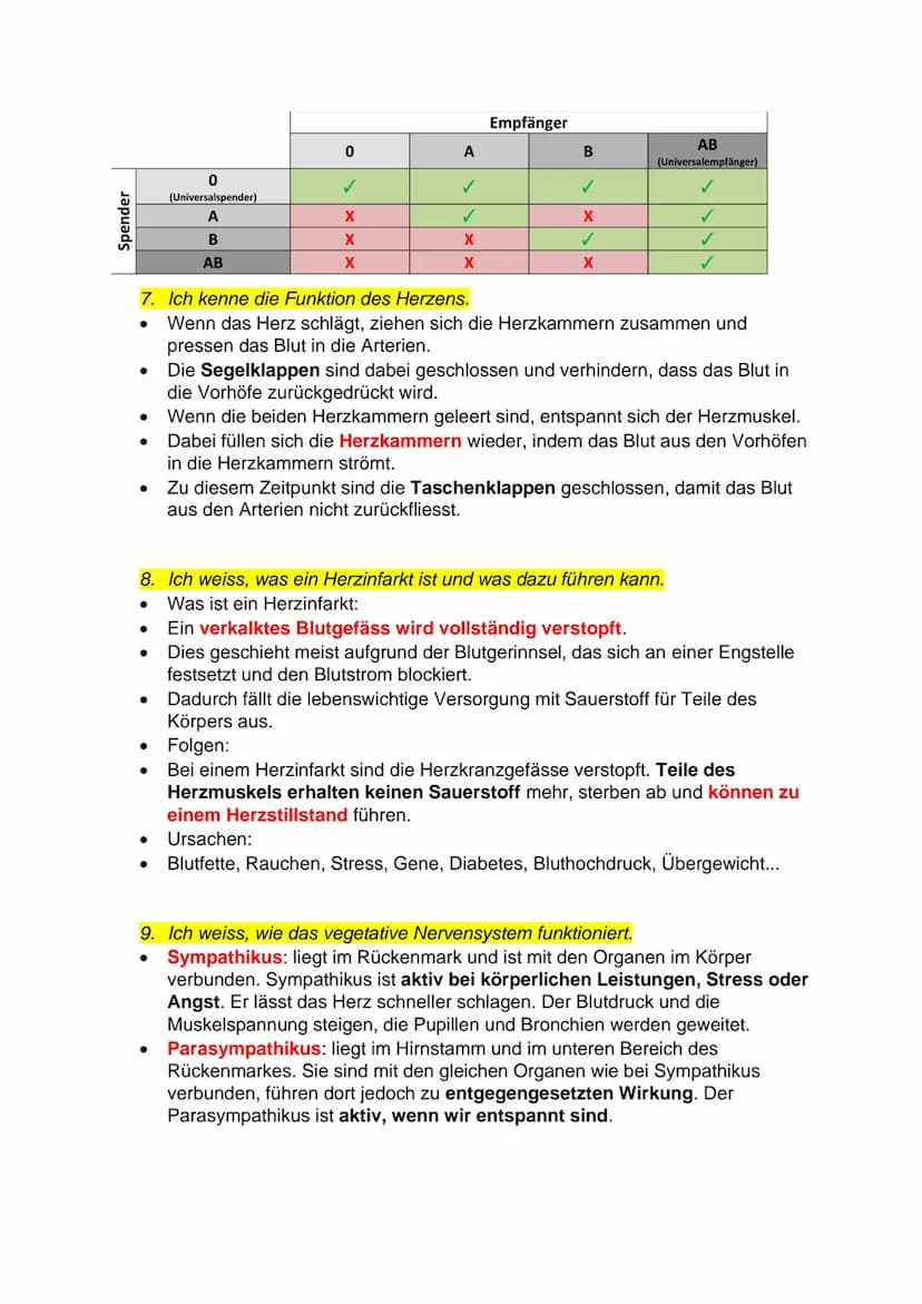 Atmung, Blut und Kreislauf
1. Ich kann den Weg der Atemluft im Körper beschreiben und alle dabei
beteiligten Organe benennen.
●
●
●
1. Mund-