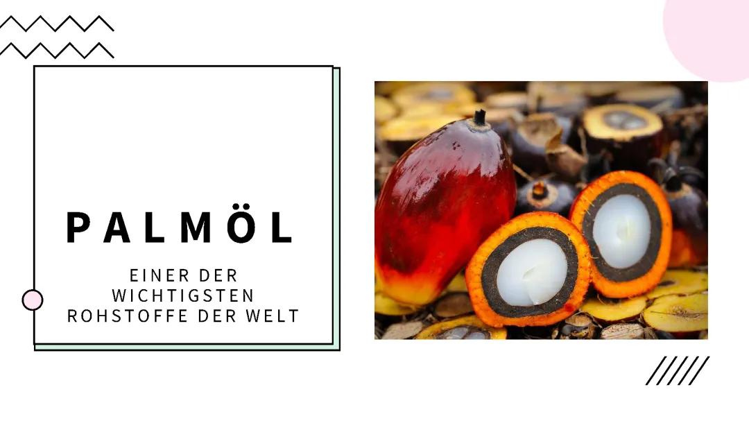 Warum ist Palmöl schlecht? Ist Palmöl krebserregend? Was ist Palmöl?