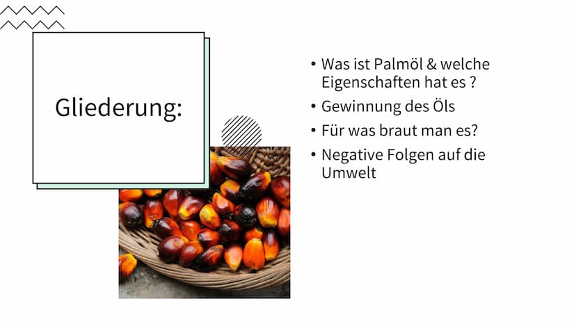PALMÖL
EINER DER
WICHTIGSTEN
ROHSTOFFE DER WELT Gliederung:
• Was ist Palmöl & welche
Eigenschaften hat es ?
• Gewinnung des Öls
Für was bra