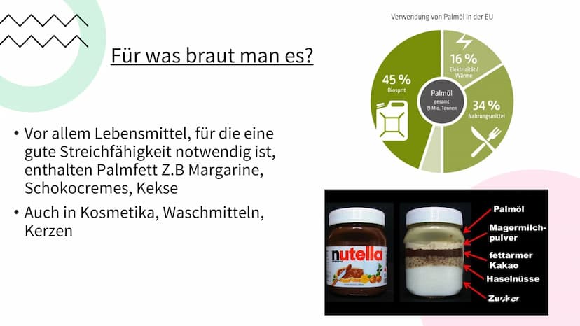 PALMÖL
EINER DER
WICHTIGSTEN
ROHSTOFFE DER WELT Gliederung:
• Was ist Palmöl & welche
Eigenschaften hat es ?
• Gewinnung des Öls
Für was bra