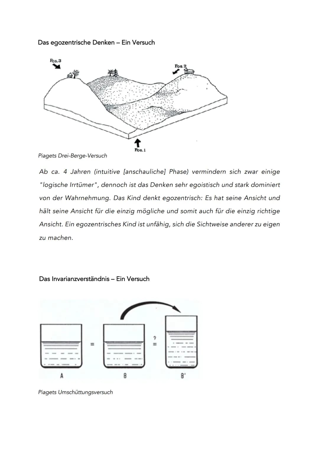 Kinder denken anders (als Erwachsene)
in Bezug auf Mengen-/Massen-/Volumeneigenschaften von Objekten
(mathematisch) unlogisch
●
Die Theorie 