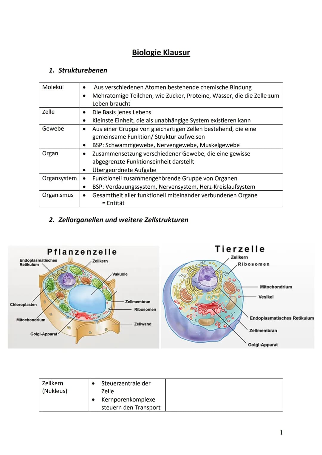 Biologie I - Zellen, Proteine, Aminosäuren