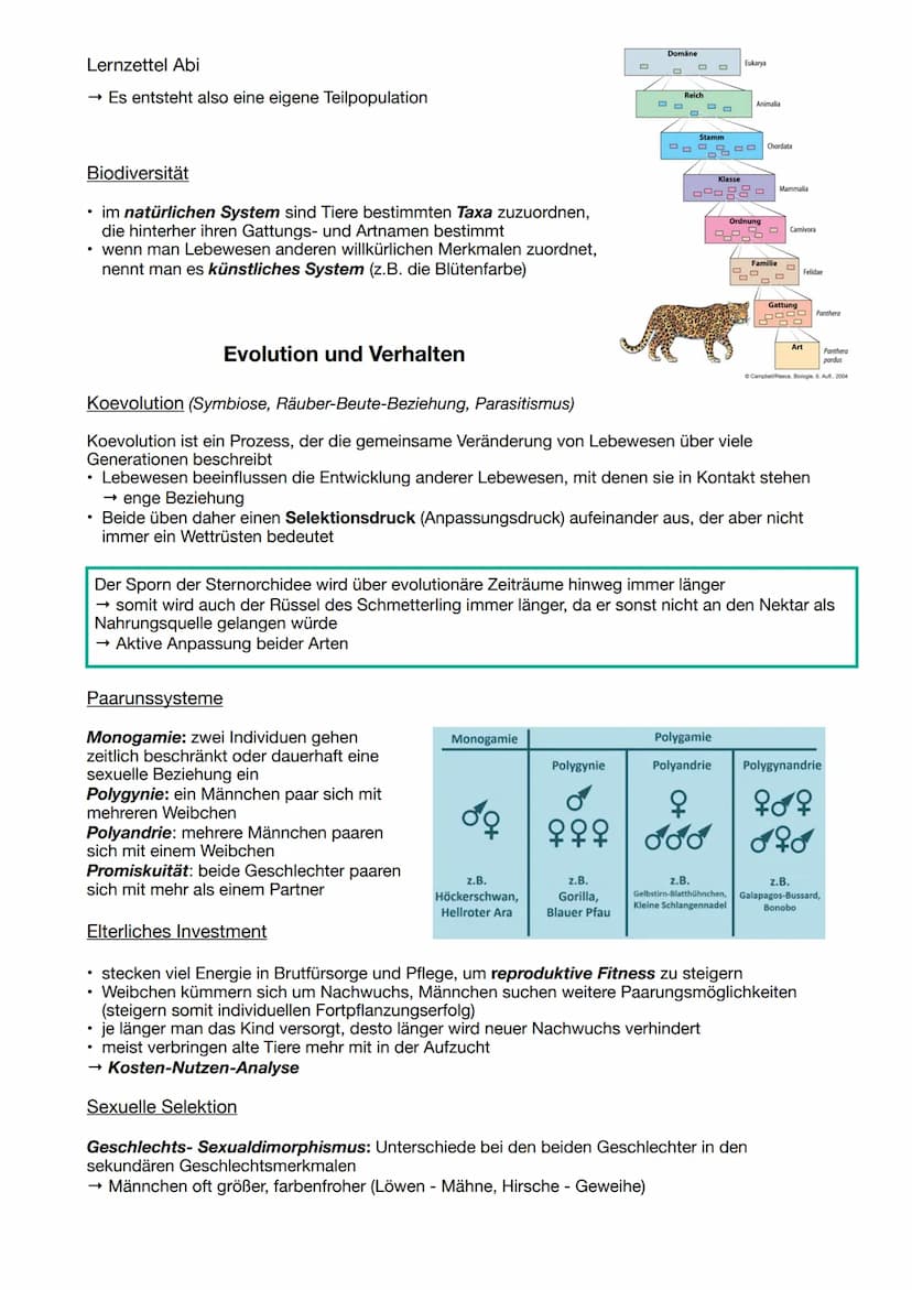Lernzettel Abi
Darwin
EVOLUTION
Evolutionstheorien
• Reproduktion : Überproduktion von Nachkommen
• Variation: Individuen einer Art untersch