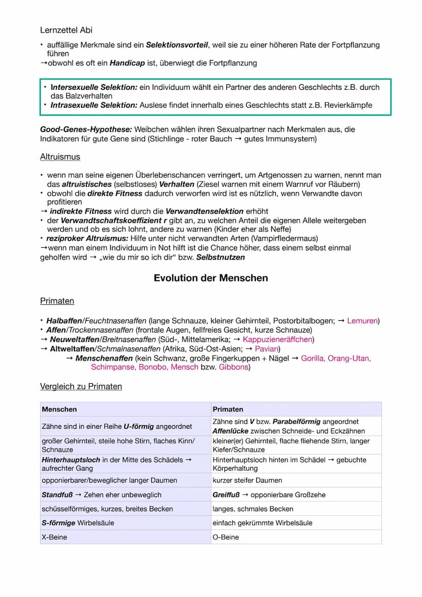 Lernzettel Abi
Darwin
EVOLUTION
Evolutionstheorien
• Reproduktion : Überproduktion von Nachkommen
• Variation: Individuen einer Art untersch