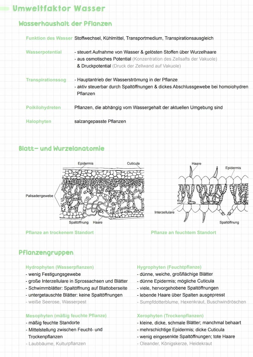  Ökologie
Ökologie ist die Lehre vom System der ungestörten, wechselseitigen Beziehungen der Lebewesen zueinander und
zu ihrer Umgebung
Para