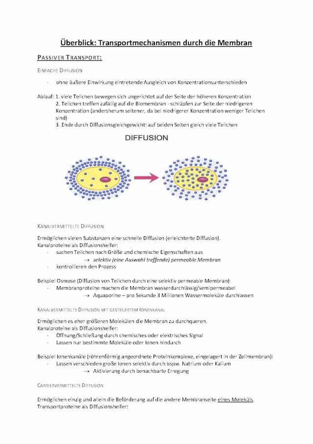 Know Transportmechanismen der Biomembran  thumbnail